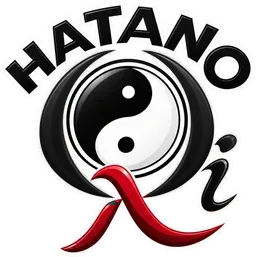 Hatano Sistemas