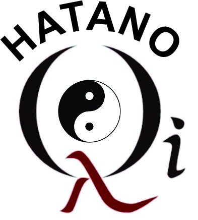 ENGº Carlos Hatano